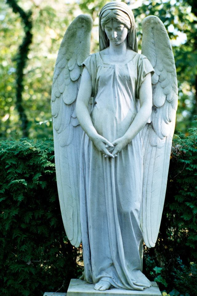 波昂墓園中的天使雕像。