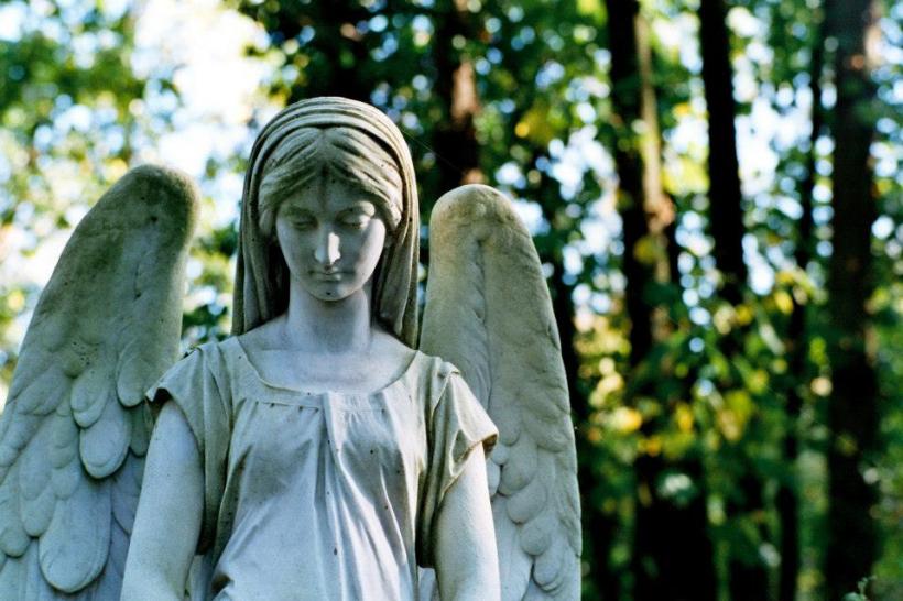 72824_489770981065815_375957727_n