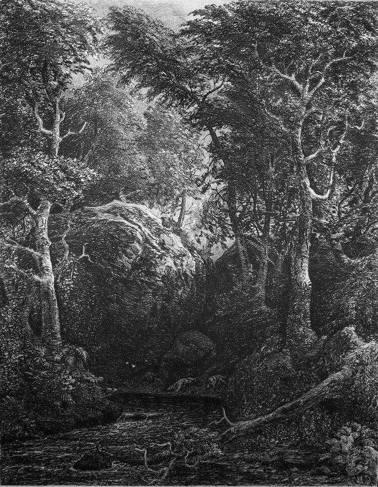 十八世紀中葉以後，浪漫主義興起。注重個人感情，形式自由奔放的浪漫主義，影響深入藝術、文學和文化運動，遍及歐洲各國。工業革命後，許多風景畫中的田園景緻迅速消失。工業化的惡果為許多有識人士強烈抨擊，藝術創作中亦不乏相關的思維脈絡。浪漫主義順勢成為當時社會的精神食糧。繪畫藝術中，自然一躍成為新的主軸。在德國，浪漫主義藝術家卡爾‧華格納(Carl Wagner)，大量運用森林為其創作題材。《林中狐狸》透過局部的細節，鋪陳出森林的多變景致，銅版蝕刻特有的效果，為畫面添上強烈的陰森氛圍，時而明亮疏淺、時而濃密陰鬱的筆觸，成功烘托出森林的晦暗詭譎。藝術家嫻熟樹木肌理，盤根錯節的植物與巨石躍然紙上，在林木蔽天中，畫面下方出現兩隻前來溪邊飲水的狐狸，身形若隱若現。這幅作品觀察細微、線條跌宕錯落，自有一種灑脫，個人風格強烈。