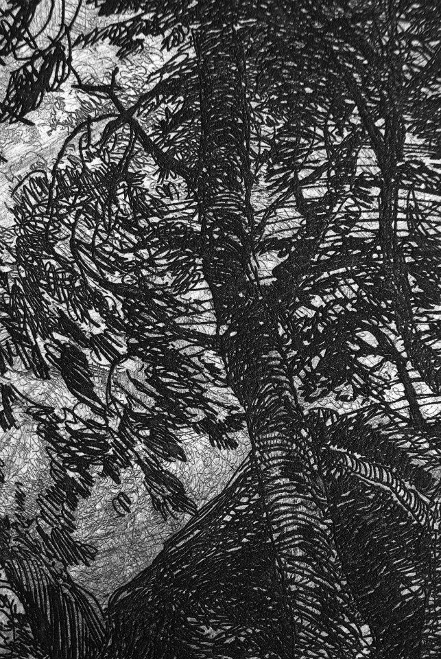 林中狐狸局部二，在這微距攝影下的畫面，甚至可以看到立體線條的浮現，這是凹版版畫的迷人之處，在放大鏡下，宛如逼真的三D場面。