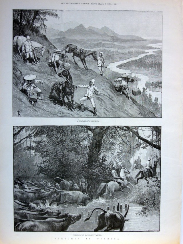 單頁ILLUSTRATED LONDON NEWS畫報，1890年3月8日。含二張木刻插圖與畫報背面報導文章，品相良好。本張畫報描繪作者一行旅途上的險惡，甚至遭到水牛群追趕。