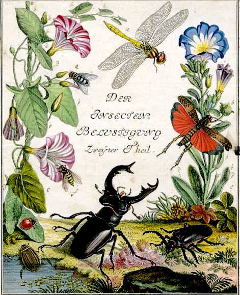 羅瑟第一本生物誌《有趣的昆蟲》(Insecten-Belustigung)第二部分書名插圖頁。