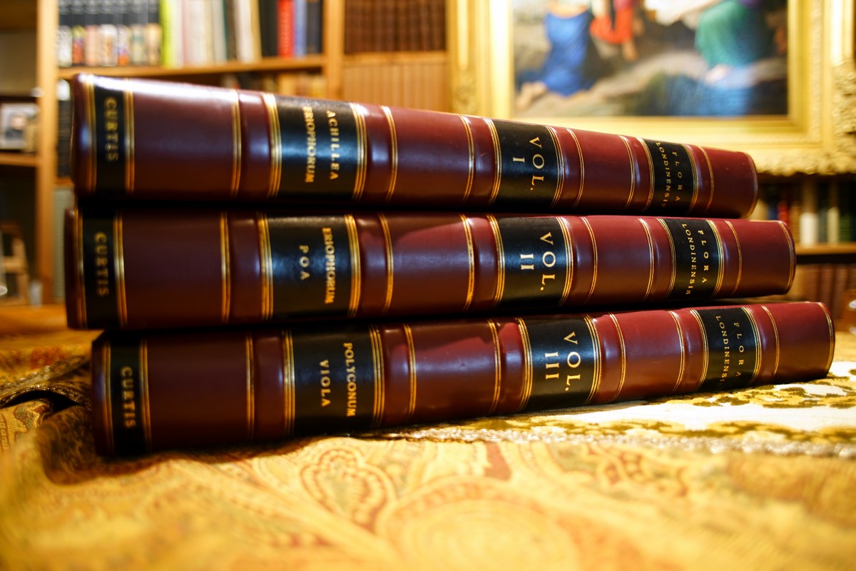 《倫敦花卉》二冊裝幀成三本。