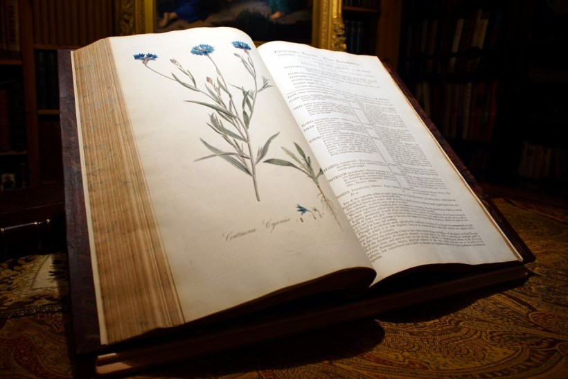 《倫敦花卉》內頁。