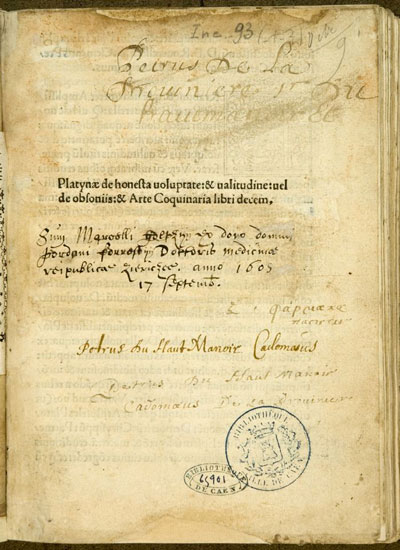 platina-right-pleasure-good-health400x550