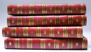 義大利文藝復興時期的詩人阿里奧斯托（Ludovico Ariosto）的代表作品《瘋狂奧蘭多》。