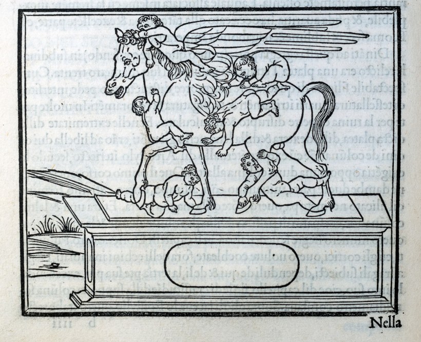 20181226-20181226-DSC09524-編輯s