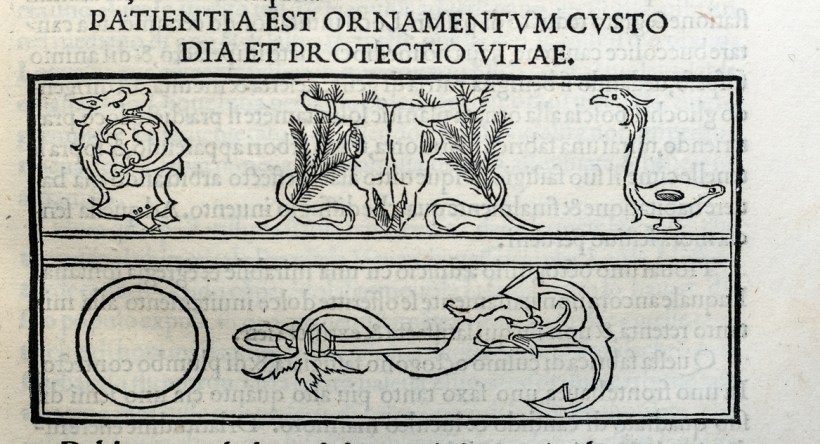 20181226-20181226-DSC09538-編輯s