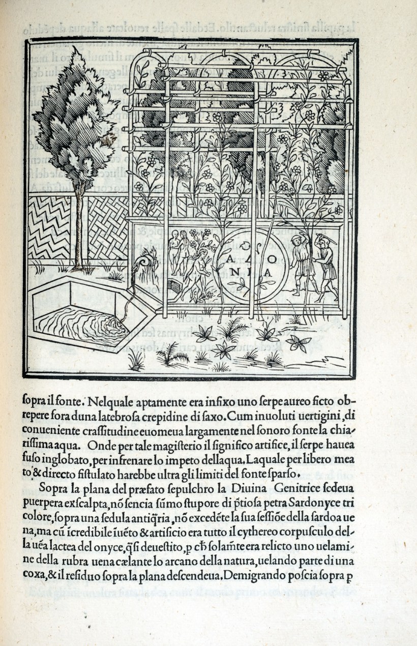 20181226-20181226-DSC09644-編輯s