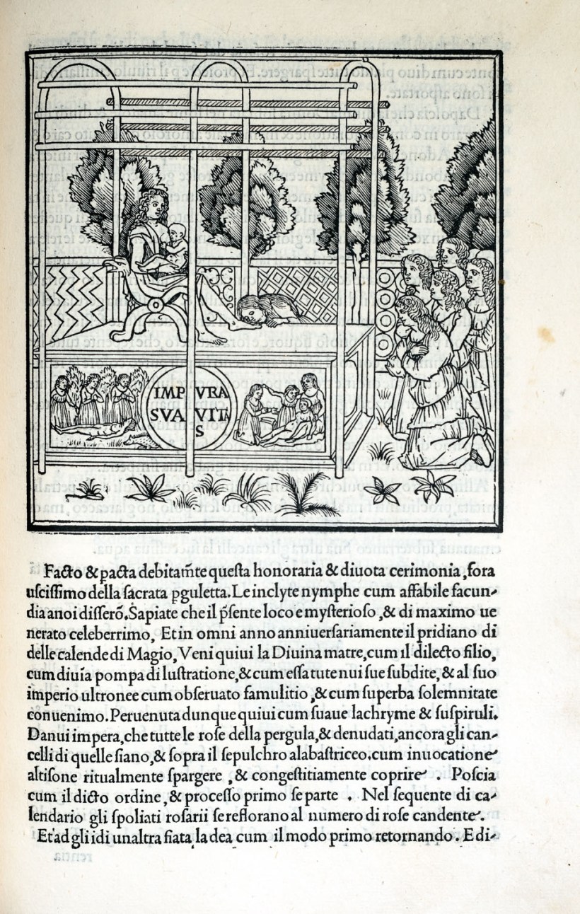 20181226-20181226-DSC09645-編輯s