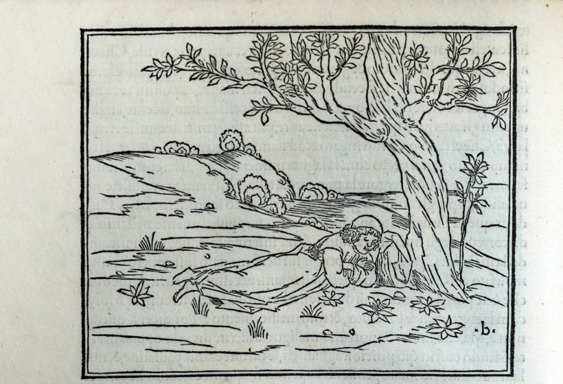 20181226-20181226-dsc09515-編輯s