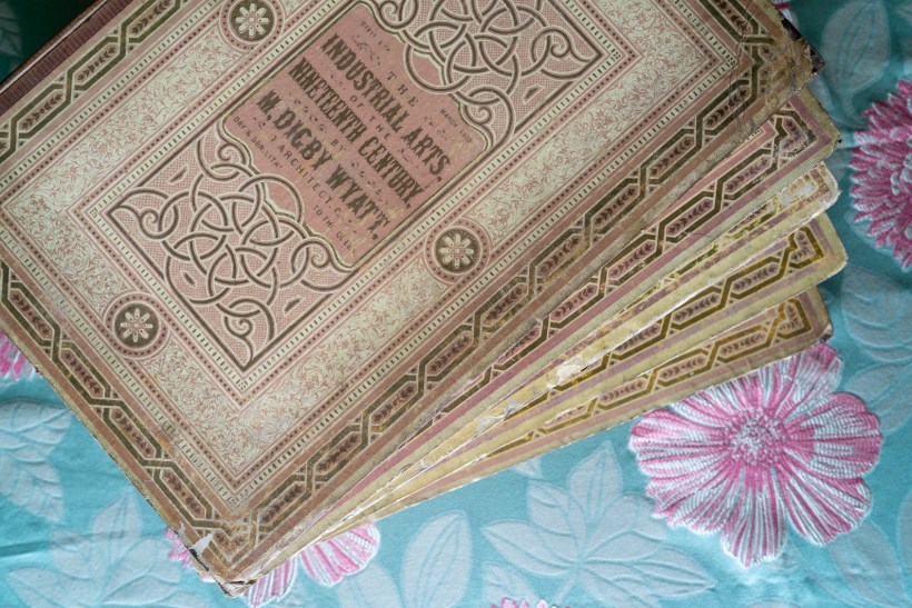 20190720-20190720-DSC03254